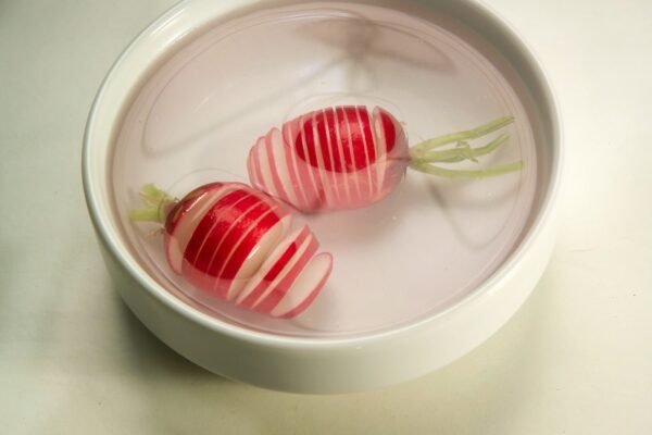 STEP 2 VENTAGLI DI RAVANELLI - 2240