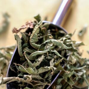 VERBENA