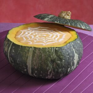 VELLUTATA DI ZUCCA RAGNATELA - 2420