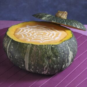 VELLUTATA DI ZUCCA RAGNATELA - 2421