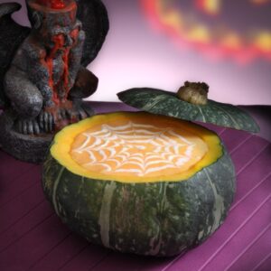 VELLUTATA DI ZUCCA RAGNATELA - 2432 2