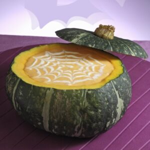 VELLUTATA DI ZUCCA RAGNATELA - 2436 2
