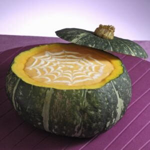VELLUTATA DI ZUCCA RAGNATELA - 2436