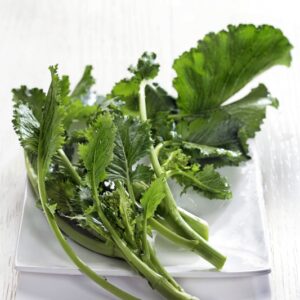 CIME DI RAPA - 2626