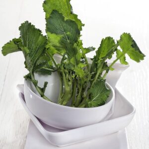 CIME DI RAPA - 2631