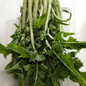 CATALOGNA - 2648