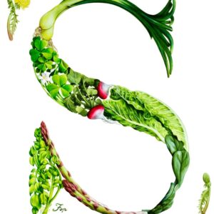 S CAPOLETTERA ORTAGGI - 0393