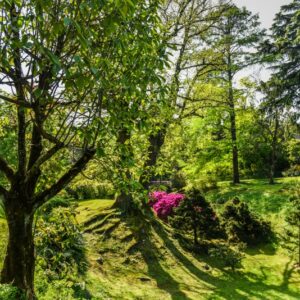 GIARDINO, GARDENING, VILLA TARANTO, VERBANIA, ITALY - 2734