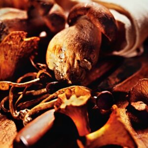 PORCINI FINFERLI CHIODINI - 2745S 43 00