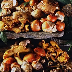 FUNGHI SU TRONCO CHIODINI FINFERLI CHIODINI OVOLI - GI36830 - 2748