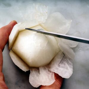 ROSELLINE DI RAPA (STEP 3) - 3002