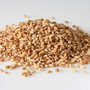 GRANO TENERO - 3088