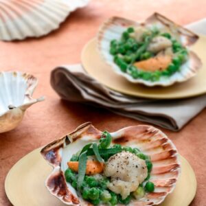 CONCHGLIE AL BRANDY - 0562