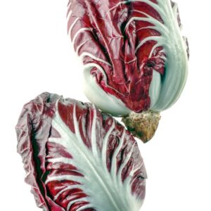 RADICCHIO VERONESE - 3806
