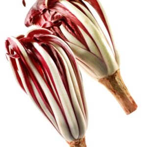 RADICCHIO ROSSO TARDIVO - 3809