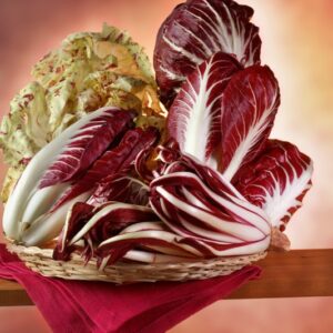 VARIETA' DI RADICCHIO - 3814