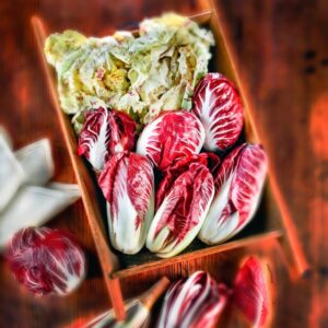 VARIETA' DI RADICCHIO - 3816