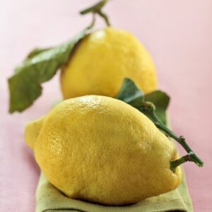 LIMONI - 3895