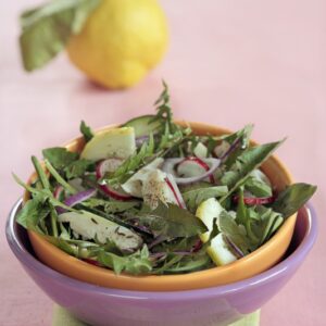 INSALATA CON TARASSACO MERLUZZO RAPANELLI LIMONE CETRIOLI PEPE E SEMI DI CUMINO - 3953