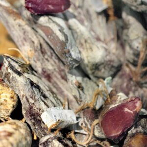 SLINZEGA CAMUNA - LOMBARDIA - 4008