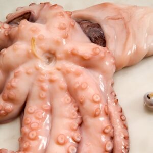 POLPO AFFOGATO (STEP 2) - S 47950 - 4153