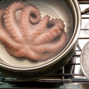 POLPO AFFOGATO (STEP 3) - S 47950 - 4154