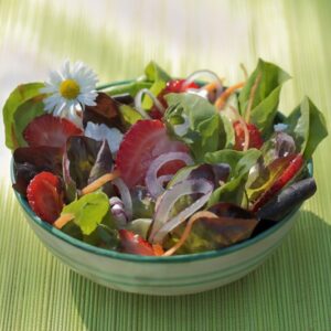INSALATA DI LATTUGA ROSSA E VERDE FRAGOLE CIPOLLE ROSSE CAROTE E FETA - 4250