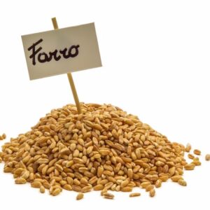 FARRO - 4254