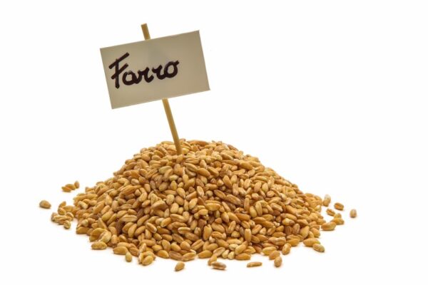 FARRO