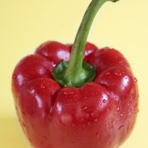 PEPERONE ROSSO - 4291