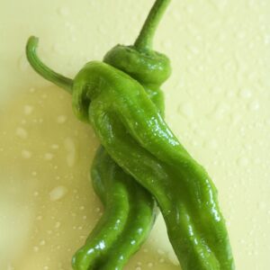 PEPERONCINI DOLCI FRIGGITELLI - 4297