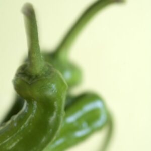 PEPERONCINI DOLCI FRIGGITELLI - 4299