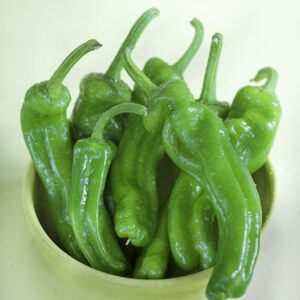 PEPERONCINI DOLCI FRIGGITELLI - 4302