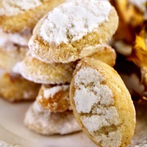 RICCIARELLI TOSCANI - 4306