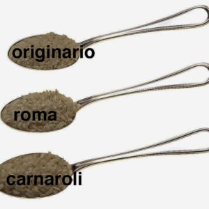 CUCCHIAI RISO - 4534 trace-low