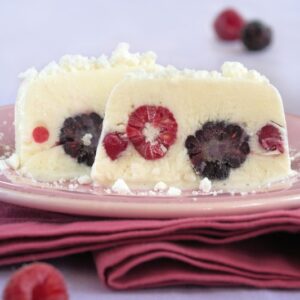 MATTONELLA ALLO YOGURT CON FRUTTI DI BOSCO - 4546