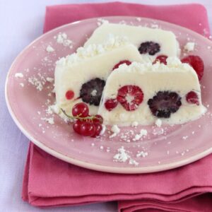 MATTONELLA ALLO YOGURT CUN FRUTTI DI BOSCO - 4547