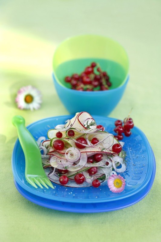 INSALATA DI MELA CIPOLLA CETRIOLO RIBES E TIMO OLIO E ACETO DI MELE - 4596 2