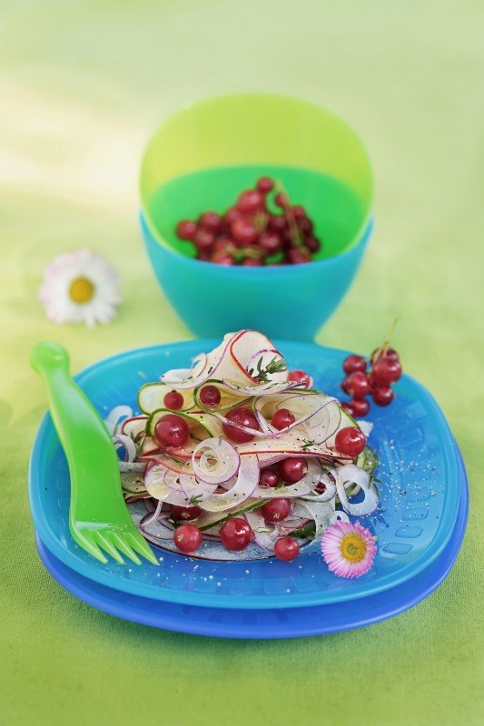 INSALATA DI MELA CIPOLLA CETRIOLO RIBES E TIMO OLIO E ACETO DI MELE - 4596