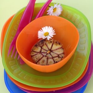 AGLIO FRITTO - 4636