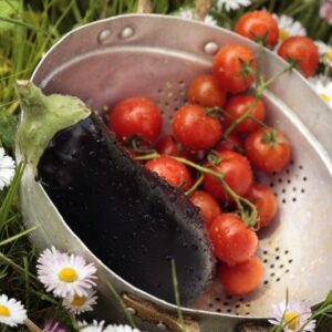 MELANZANE E POMODORINI - 4835