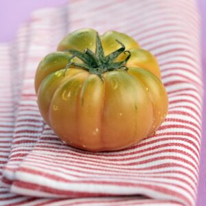 POMODORO COSYOLUTO - 4986