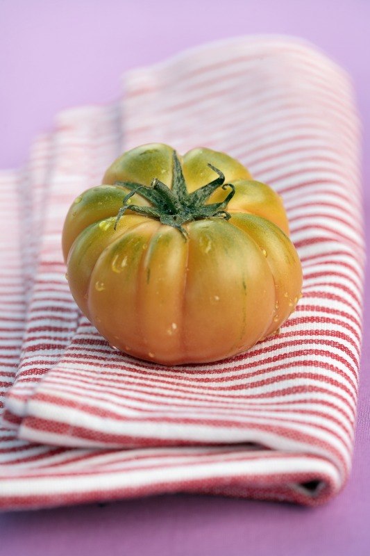 POMODORO COSYOLUTO - 4986 - immagine 1