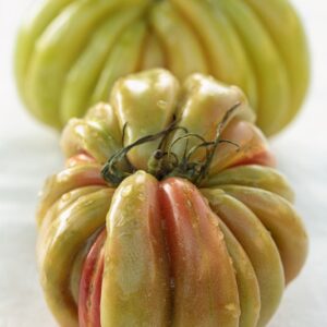 POMODORI CUORE DI BUE - 5085