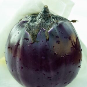 MELANZANA TONDA - 5092