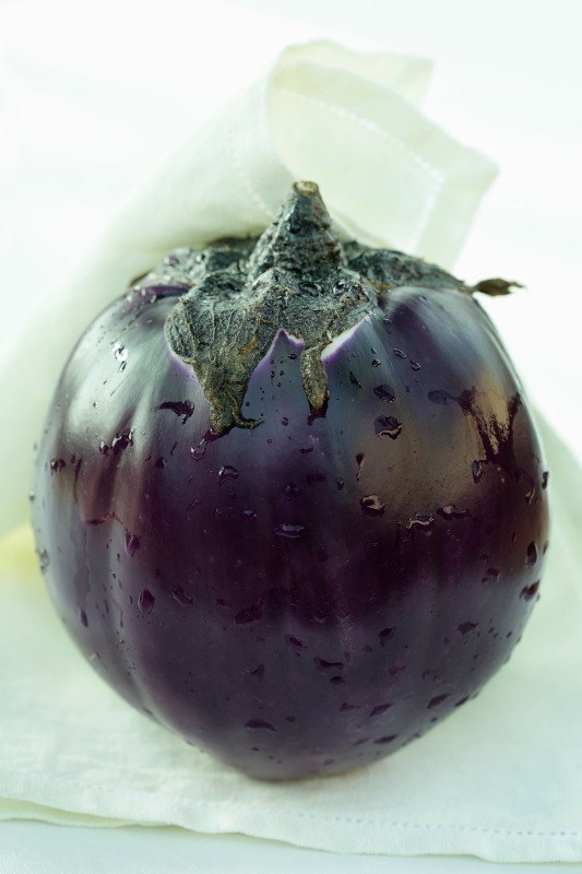 MELANZANA TONDA - 5092