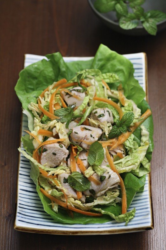 GA XE PHAY - VIETNAM - INSALATA DI POLLO - 5165