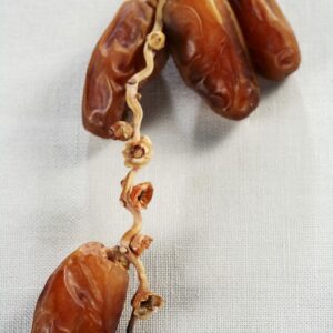 DATTERI - 5267