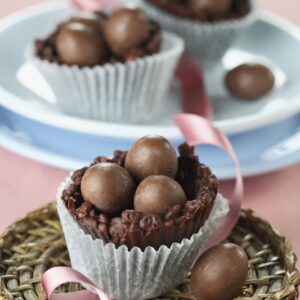 NIDI DI CIOCCOLATO - 5377