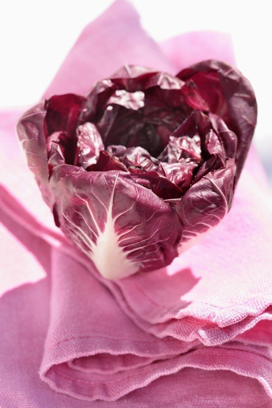 RADICCHIO - 5768 - immagine 1